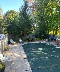 Backyard pic