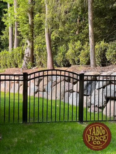 IMG_2456