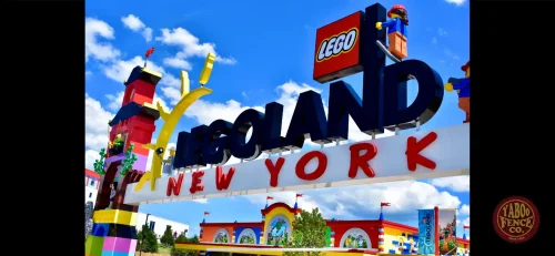 IMG_9608